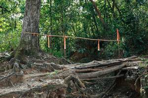 BIB: 
                            <button type="button" onclick="openModal(27802361)" class="btn btn-primary btn-sm float-right btn-popup" data-toggle="modal" data-target=".modal-high-quality">
                        <i class="fas fa-shopping-cart"></i> Add to Cart
                    </button>
                                            <button type="button" onclick="isThisMe(27802361, true)" class="btn btn-success btn-sm float-right btn-popup btn-isme hidden" data-toggle="tooltip" data-placement="bottom" title="นี่คือรูปของคุณใช่ไหม คลิกที่นี่เพื่อเอาเข้าอัลบั้ม">
                        <i class="fas fa-plus"></i> Add to album
                    </button>
                    <button type="button" onclick="isThisMe(27802361, false)" class="btn btn-warning btn-sm float-right btn-popup btn-isnotme hidden">
                        <i class="fas fa-ban"></i> Remove from album
                    </button>